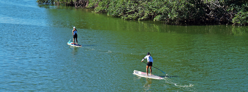 Women paddleboarding on Anna Maria Island