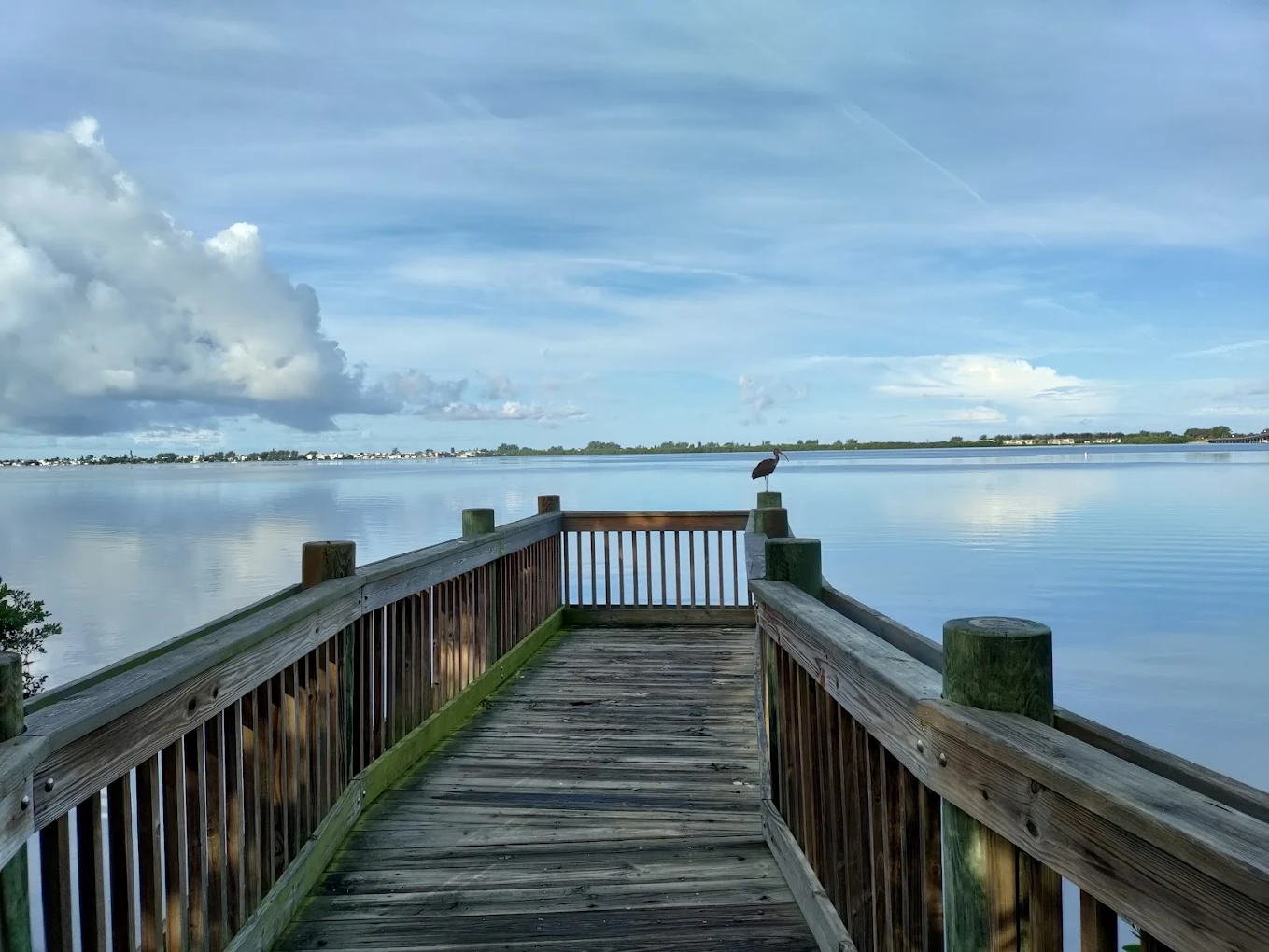 Neal Preserve on Anna Maria Island